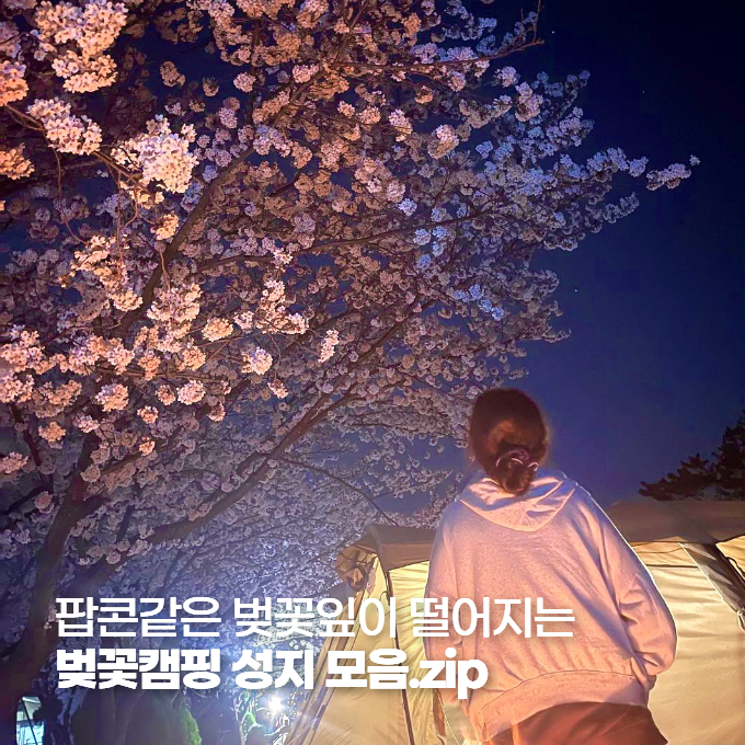 팝콘같은 벚꽃잎이 떨어지는 벚꽃캠핑 성지 모음.zip