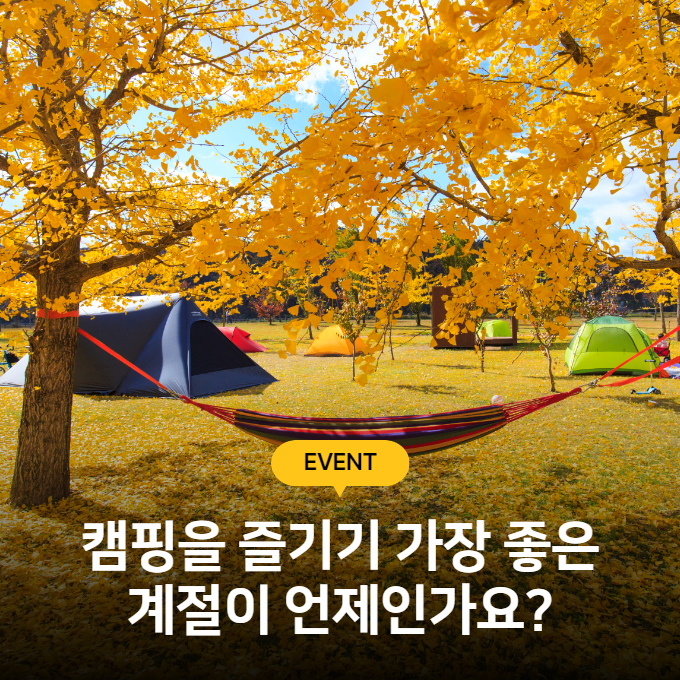 요즘 트렌드 이미지